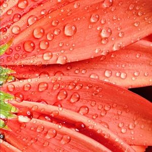 Meet your Posher, Asad